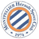 Logo Montpellier Hérault Sport Club